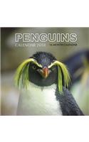 Penguins Calendar 2018