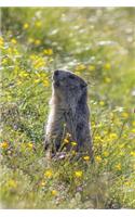 Marmot in a Wildflower Field Journal: Take Notes, Write Down Memories in this 150 Page Lined Journal