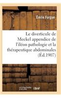 Le Diverticule de Meckel Appendice de l'Iléon