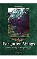 Forgotten Wings