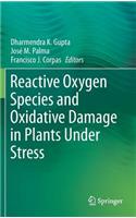 Reactive Oxygen Species and Oxidative Damage in Plants Under Stress