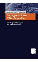 Management Von Crm-Projekten