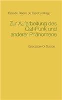 Zur Aufarbeitung des Ost-Punk und anderer Phänomene: Spectators Of Suicide