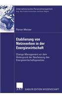 Etablierung Von Netzwerken in Der Energiewirtschaft