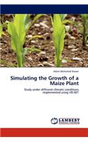 Simulating the Growth of a Maize Plant
