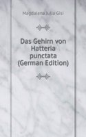 Das Gehirn von Hatteria punctata (German Edition)