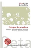 Pelargonium Radens: (English)