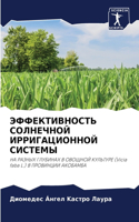 &#1069;&#1060;&#1060;&#1045;&#1050;&#1058;&#1048;&#1042;&#1053;&#1054;&#1057;&#1058;&#1068; &#1057;&#1054;&#1051;&#1053;&#1045;&#1063;&#1053;&#1054;&#1049; &#1048;&#1056;&#1056;&#1048;&#1043;&#1040;&#1062;&#1048;&#1054;&#1053;&#1053;&#1054;&#1049; 