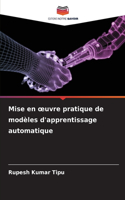 Mise en oeuvre pratique de modèles d'apprentissage automatique