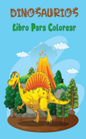 Dinosaurios Libro Para Colorear