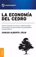 economía del cedro: Hay una revolución en marcha: el desafío es definir nuestro papel, las oportunidades y las posibilidades. El ejemplo Brasil.