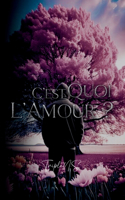 C'est quoi l'amour ?
