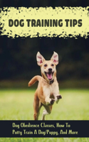 Dog Training Tips
