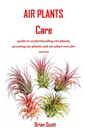 Air Plants Care: guide to understanding air plants, growing air plants and air plant care for novice