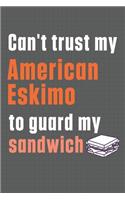 Can't trust my American Eskimo to guard my sandwich: For American Eskimo Dog Breed Fans