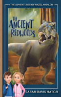 Ancient Redwoods