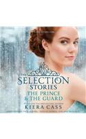 The Selection Stories