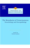 The Boundaries of Consciousness