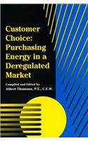 Customer Choice: Purchasing Energy in a Deregulated Market