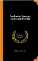 Freshwater Sponges, Hydroids & Polyzoa