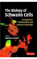 The Biology of Schwann Cells: Development, Differentiation and Immunomodulation