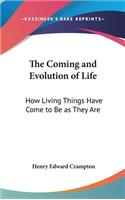 The Coming and Evolution of Life