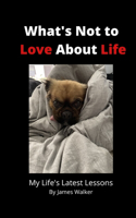 What's Not to Love About Life