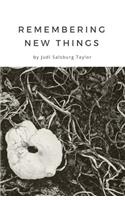Remembering New Things