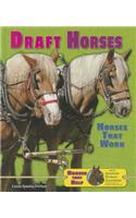 Draft Horses