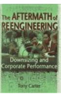 The Aftermath of Reengineering