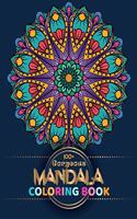 100+ Gorgeous Mandala Coloring Book: Mandala glossy cover (Dairy, Journal ) composition Notebook 100 Pages 8.5" x 11" (21.59 x 27.94 cm)