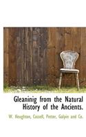 Gleaninig from the Natural History of the Ancients.