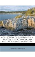 A Selection of cases on trial practice
