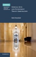 Judicial Acts and Investment Treaty Arbitration