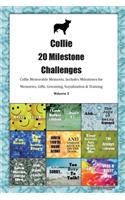 Collie 20 Milestone Challenges Collie Memorable Moments.Includes Milestones for Memories, Gifts, Grooming, Socialization & Training Volume 2