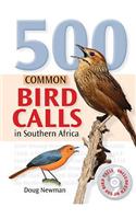 500 Common Bird Calls in Southern Africa
