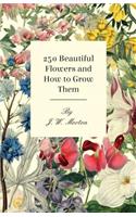 250 Beautiful Flowers And How To Grow Them