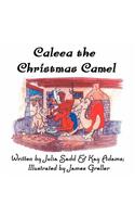 Caleea the Christmas Camel