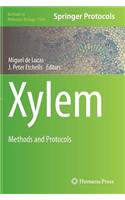 Xylem