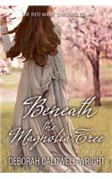 Beneath The Magnolia Tree