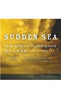 Sudden Sea