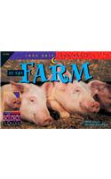 At the Farm