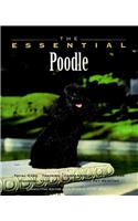 The Essential Poodle