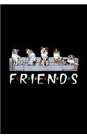 Australian Shepherd friends