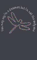 You may say Im a dreamer but im not the only one dragonfly
