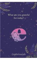 Gratitude Journal for Writers