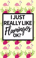 I Just Really Like Flamingos Ok?