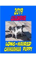 2019 Calendar Long-Haired Chihuahua Puppy
