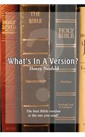 What's in a Version?