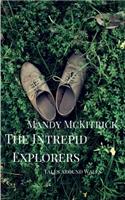 The Intrepid Explorers